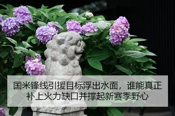 国米锋线引援目标浮出水面，谁能真正补上火力缺口并撑起新赛季野心